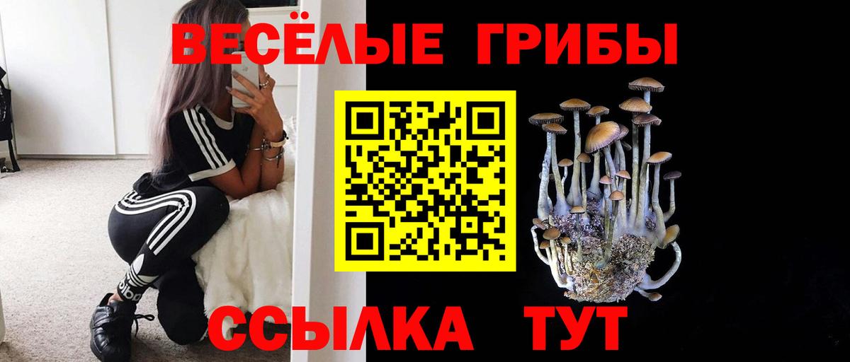 Псилоцибиновые грибы Psilocybine cubensis Лангепас